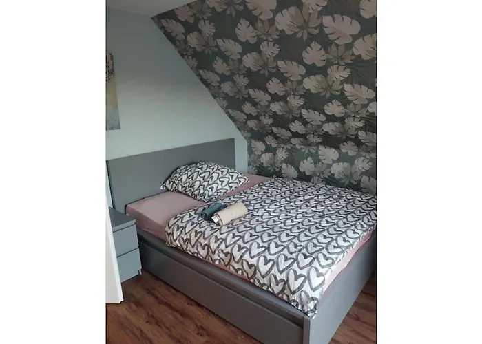 Tinla Comfortable Klein Labenz